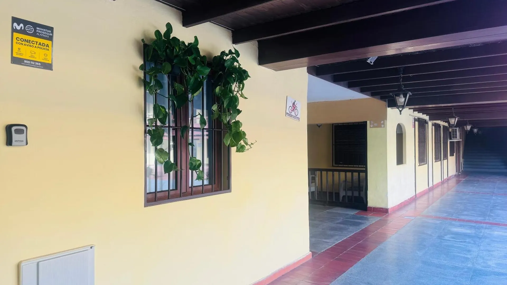 Las Americas Tropical Nights Apartment Playa de las Americas  Spain