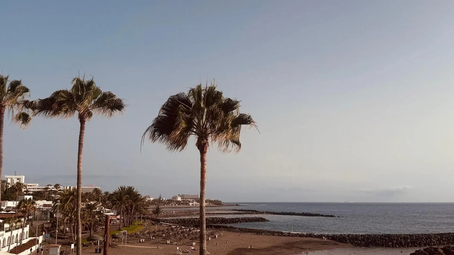 Las Americas Tropical Nights Apartment Playa de las Americas  0*, Playa de las Americas (Tenerife) Spain