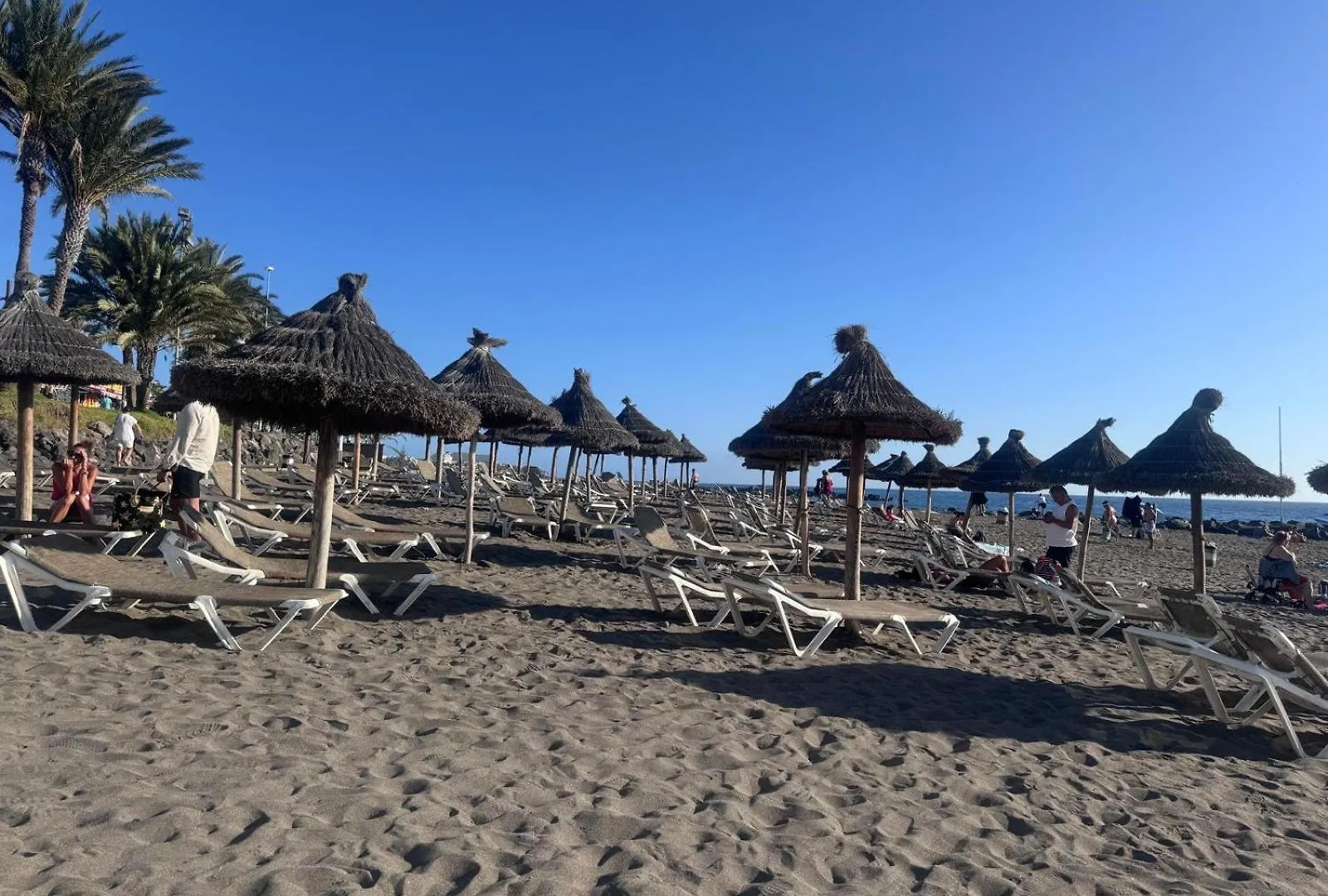 Las Americas Tropical Nights Apartment Playa de las Americas