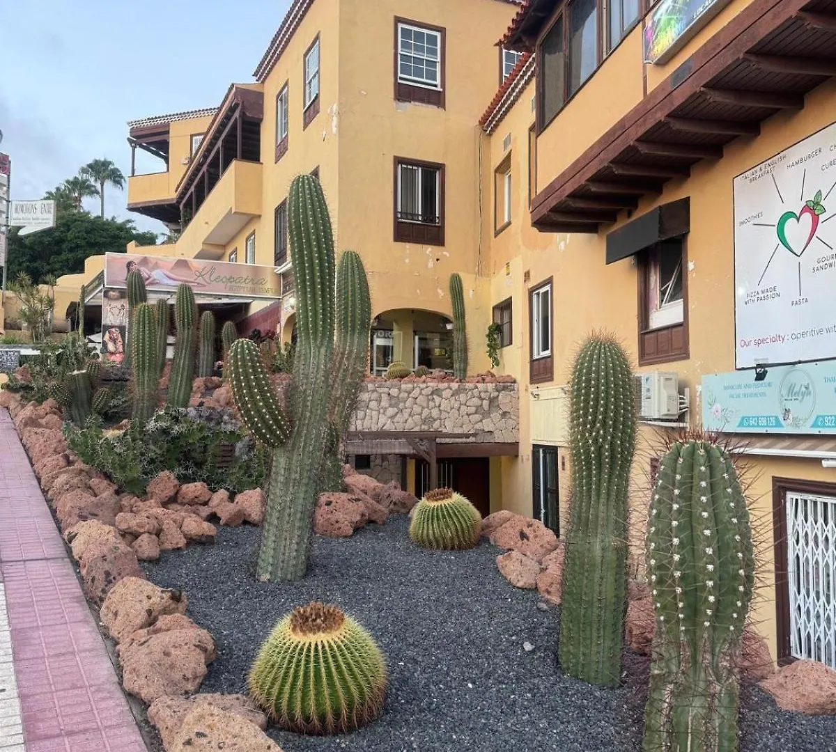 Las Americas Tropical Nights Apartment Playa de las Americas  Spain